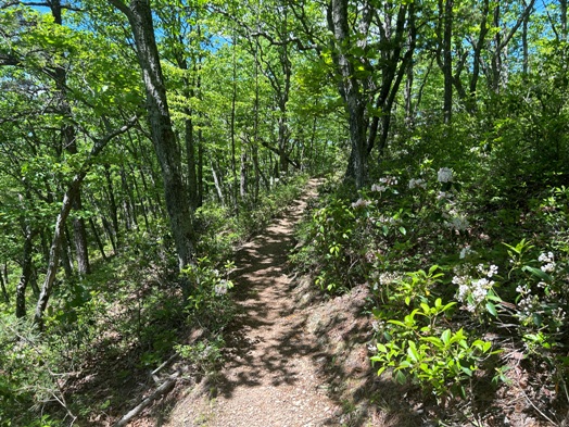 appalachian trail