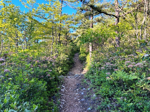 appalachian trail