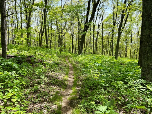 appalachian trail