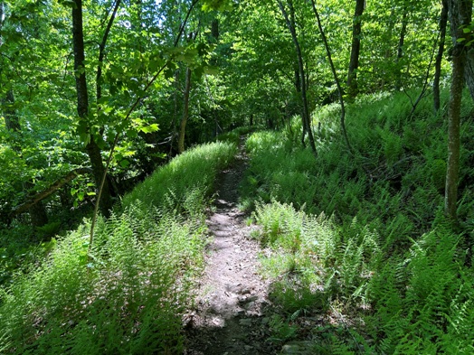 appalachian trail