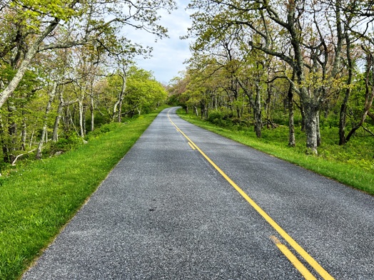 blue ridge parkway