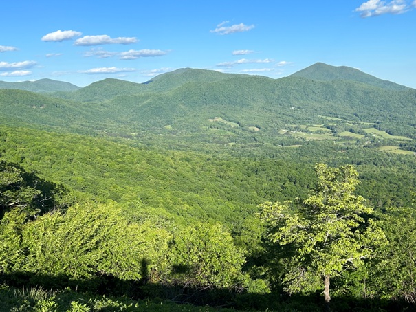 Sharp Top Mountain