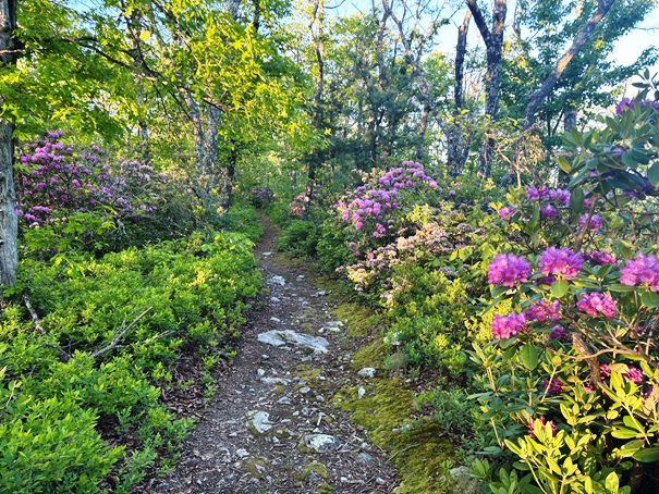 appalachian trail