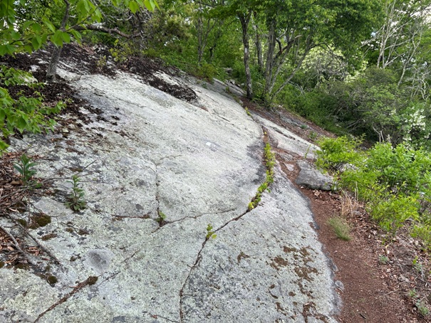 Stinking Creek Mountain