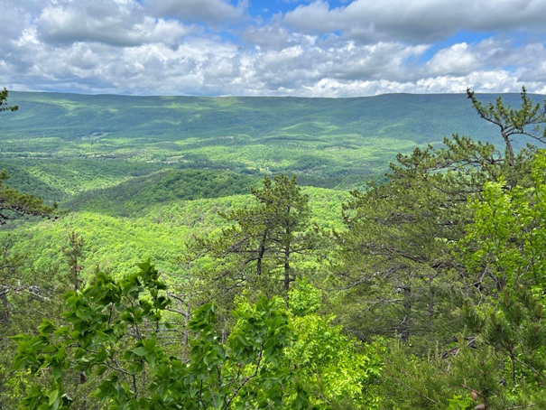 Brush Mountain