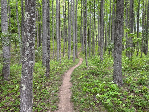 Brush Mountain