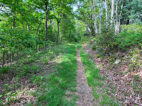 Brush Mountain