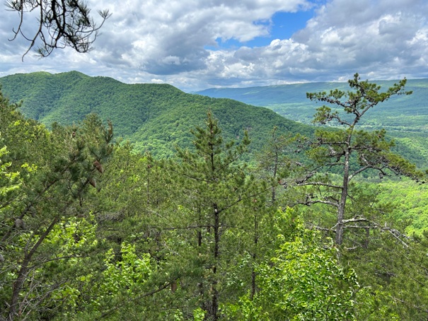 Brush Mountain