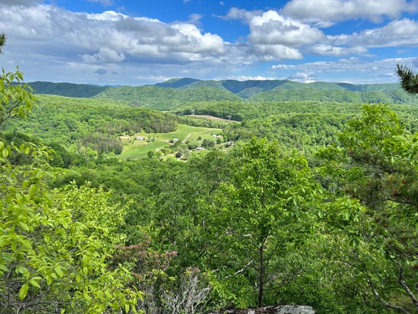 Cove Mountain