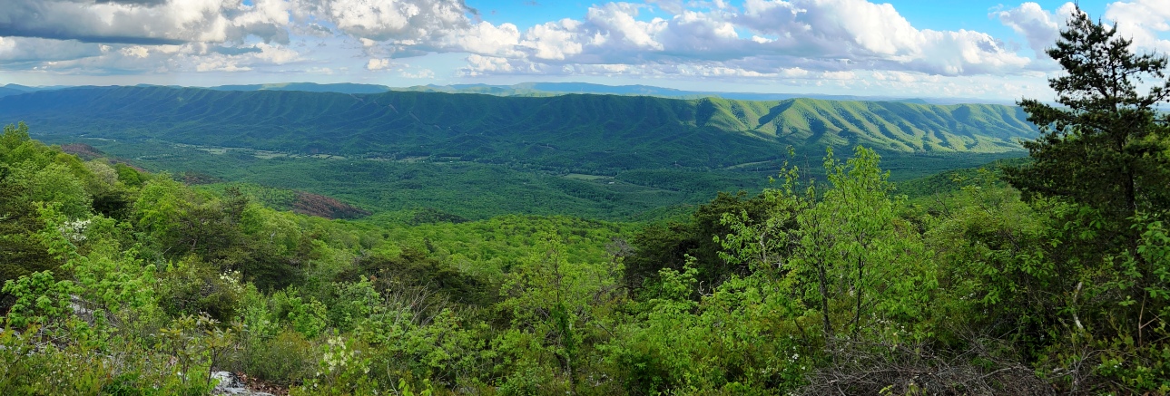 Stinking Creek Mountain