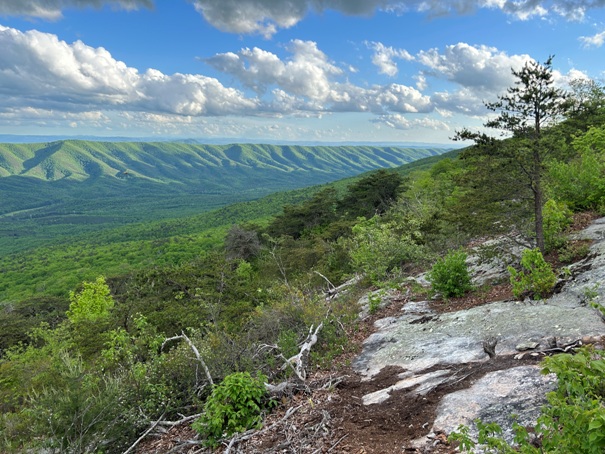 Stinking Creek Mountain