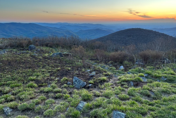 Buzzard Rock