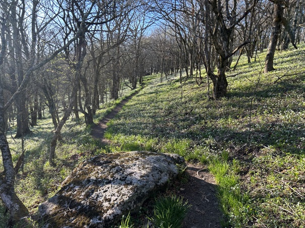 appalachian trail