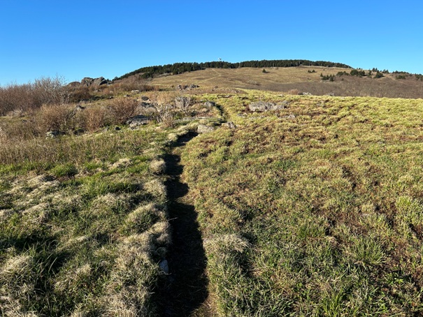 Buzzard Rock