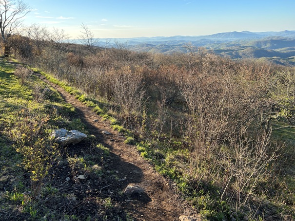 Whitetop Mountain