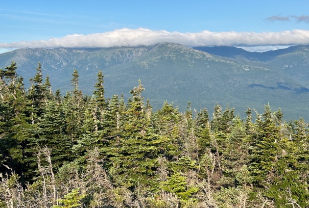 mount washington