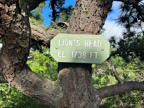 Lions Head