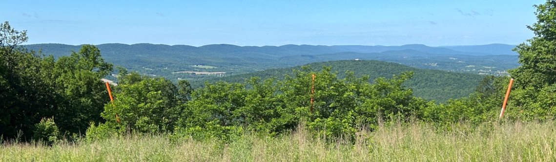 Cove Mountain