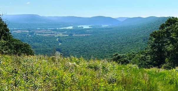 Susquehanna River 