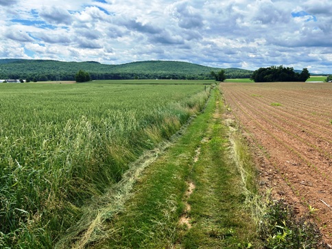 appalachian trail