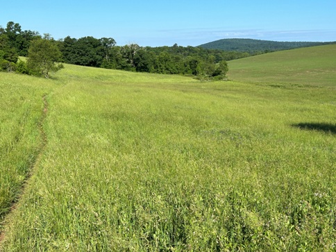 appalachian trail