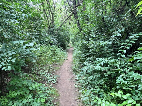 appalachian trail