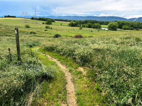 appalachian trail