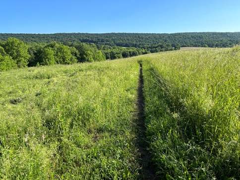 appalachian trail