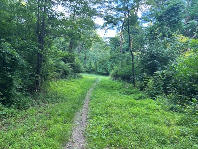 Appalachian Trail