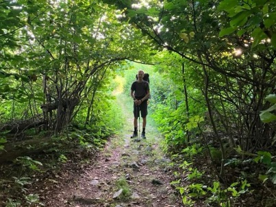 green tunnel