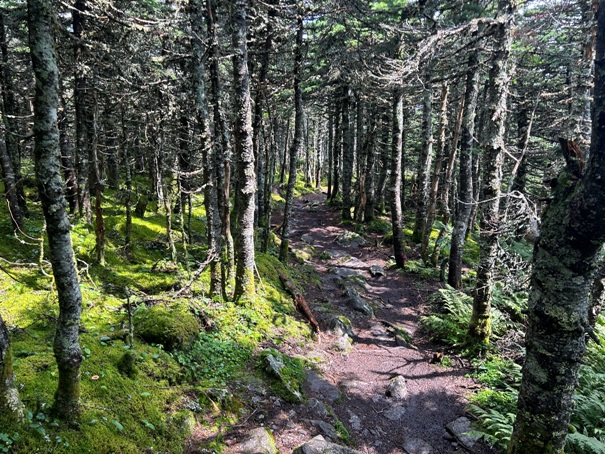 Appalachian Trail 