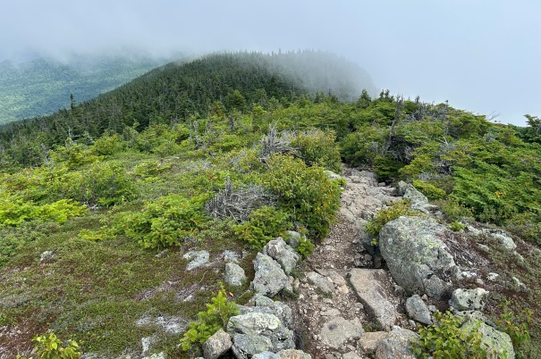 Avery Peak 