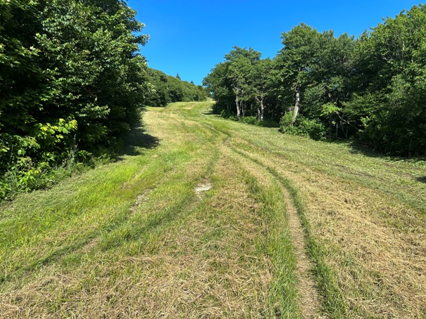 Appalachian Trail 