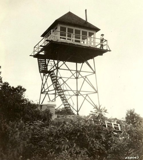 Camp Creek Bald Lookout