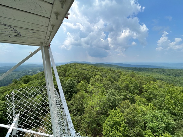 Catfish Fire Tower