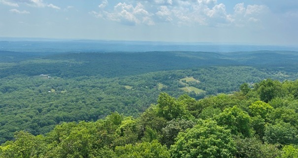 Catfish Fire Tower