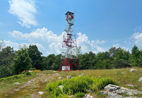 Catfish Fire Tower