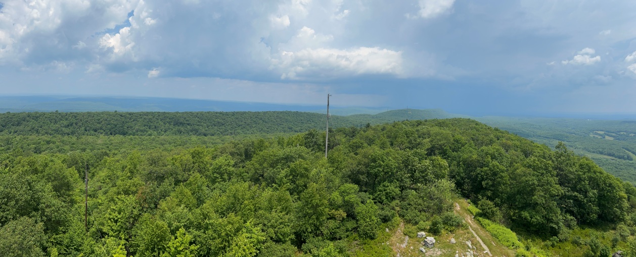 Catfish Fire Tower