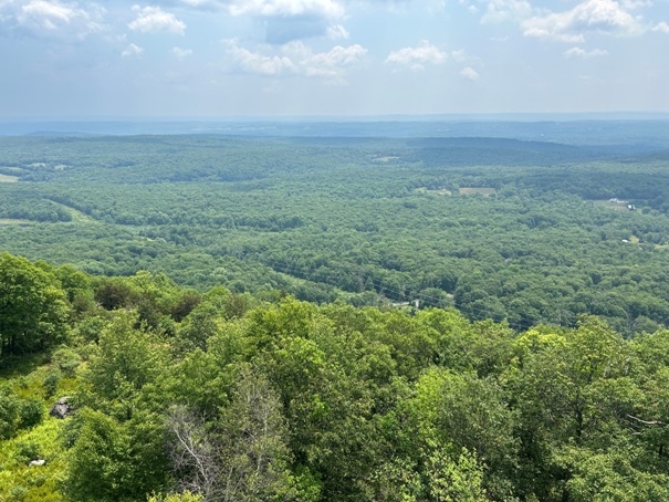 Catfish Fire Tower