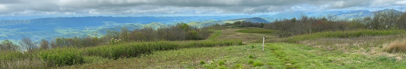 Chestnut Knob