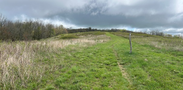 Chestnut Knob