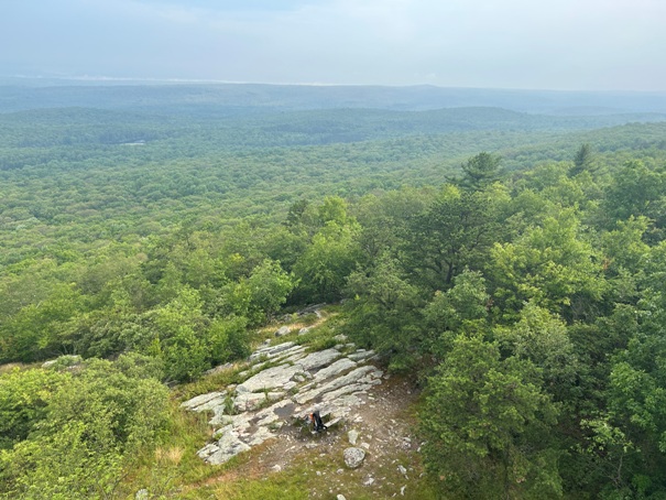 Culver Fire Tower