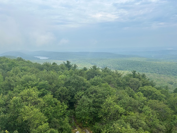 Culver Fire Tower