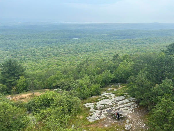 Culver Fire Tower