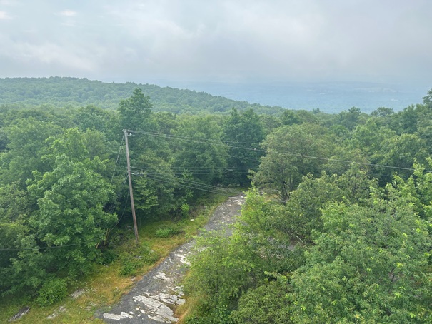 Culver Fire Tower