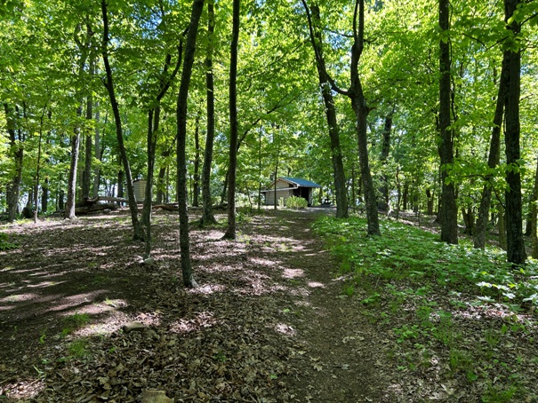 Fullhart Knob Shelter