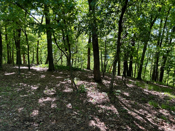 Fullhart Knob 