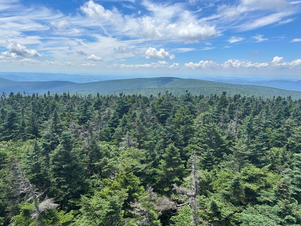 Glastenbury Mountain