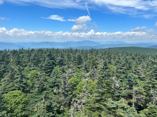 Glastenbury Mountain