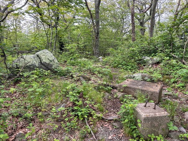 Hightop Mountain Lookout 